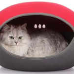 10 of the Best Cat Beds