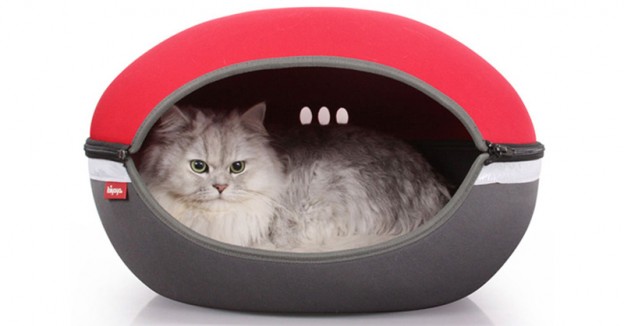 10 of the Best Cat Beds